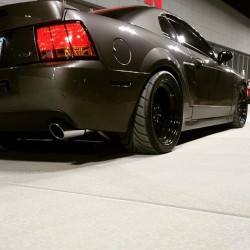 musclefords:  @igfords #ford#Mustang#SVT tag-> #american_muscle_mustangs