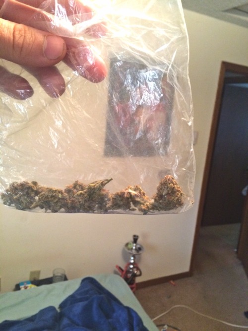 andyhippie:  Loud pack 