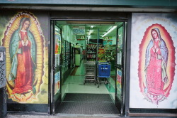  Grocery store in Echo Park, CA 