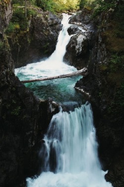 wolverxne:  Little Qualicum Falls | by: { Dan Lum } 