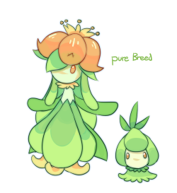 professor-maple-art:  raidraws:  Lilligant variations! These