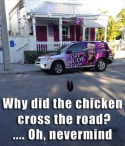 Why did the chicken cross the road? :) ~XOXO~ Selena Kitt