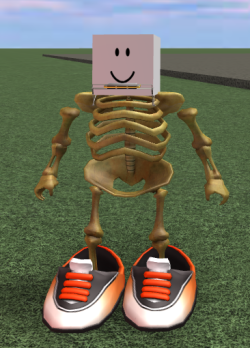 robloxhellzonepremium:the frick you looking at keep scrolling