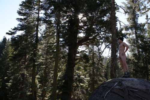 naked-hiker:  Naked on a very cold day in the Sierra Mountains of California. 