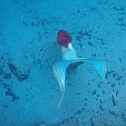 mermaidkelly:  Mermaid Ariel Under the Sea The full video is