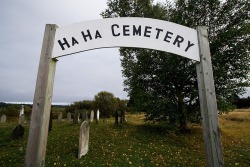graveyardhorr0r:  bury me here