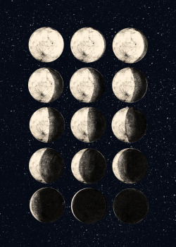 linear-thoughts:  moon cycle 