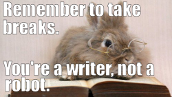 realrandomsam:  Introducing Happy Writer Bun for all of my writing