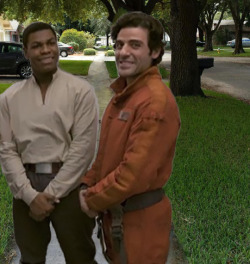 rose–tico:  you know they had to do it to em