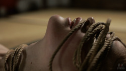 tied-yuno: Touch of rope- new weekly videos for ma patrons=)