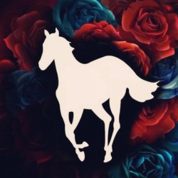 deftones white pony