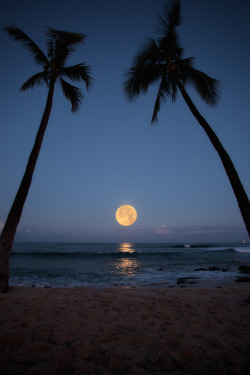 kushandwizdom:  More photography here