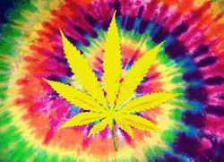 weedmygolden.tumblr.com/post/63435897896/