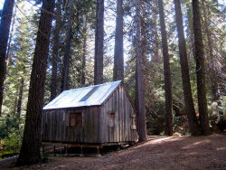 homeintheforest:  Cabin @ Yosemite by Photographing Travis on