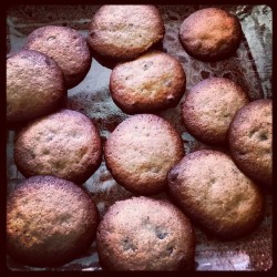 First batch done!! And they’re great! #cookie #sweets #baking