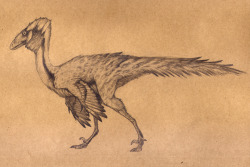 xylax:  Troodon sketch made during a train trip 