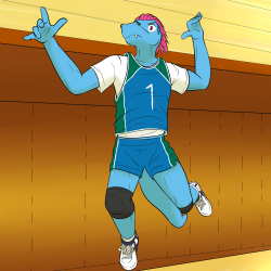 Pokeballers 2: Volleyball Boy TotodileBack from Mystery Dungeon