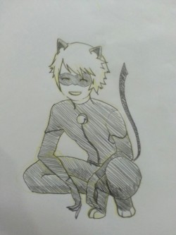 friendly chat noir  n.n