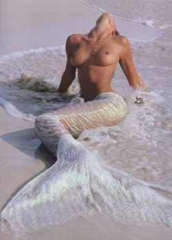 clingy:  omg    I love mermaids!!!