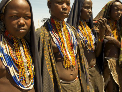 Ethiopian Erbore girls, by Georges Courreges.