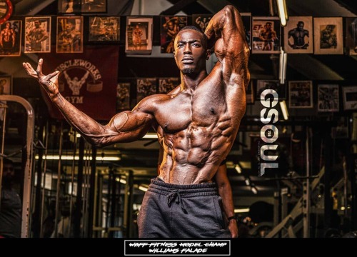 musclecomposition:Fitness model, Williams Falade