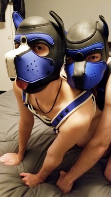 theserloki: Two very important pups to Me. And they kind of look