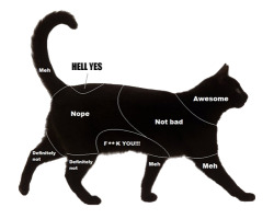 death-by-lulz:  tastefullyoffensive: Petting Charts for Cats