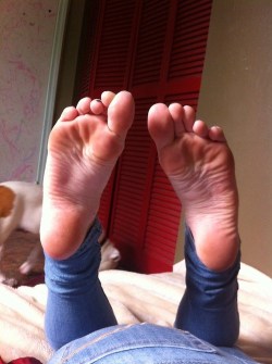 shameless-rosalietoes:  Free feet worship videos and foot fetish