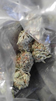 cannanime:  Frosty red and green 
