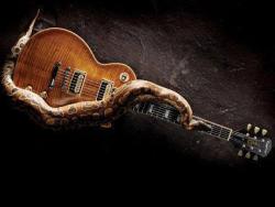 xcreaturesofthenightx:  Slash’s snake and Gibson Les Paul.