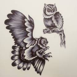 Owls. #ink #blackandgray #art #drawing #owls  (at Empire Tattoo