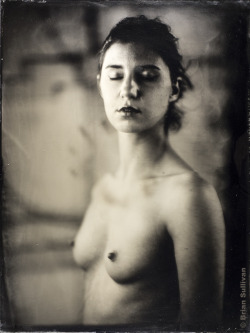 b7lab:  18x24â€³ Ambrotype - Kyotocat 2015 