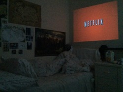 lilac-haze:  lxndscape:  I bought a projector because my tv broke