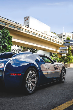 THE LAVISH SOCIETY