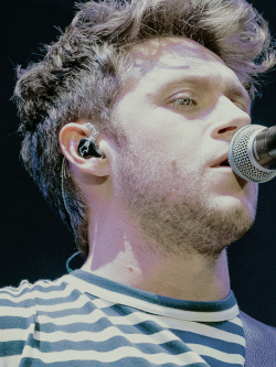 wantniallie:niall close-up 40/?