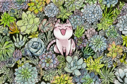 sprezzaturan:  Succulent Kitties! These will be available as