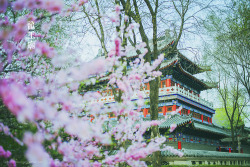 沈阳 龙王庙 Longwang Miao (Dragon King Temple), Shenyang,