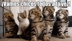 FUTUBANDERA ¡ES LA LUUUZ!