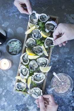 williams-sonoma:  Consider the oyster. (We do, and often.) Get
