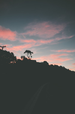 deeplovephotography:  Waiheke Sunset  instagram | flickr | facebook