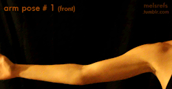 fucktonofanatomyreferences:  A coolio fuck-ton of female arm