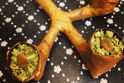 canicurbutthole:  bluntrollerandsmoker:  three headed blunt pipe