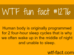 wtf-fun-facts:  YOU MEAN TO TELL ME IT’S NOT BECAUSE I HAVE