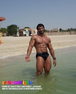 _arabiandelights_