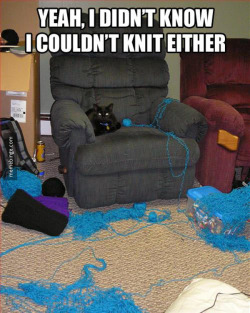 memebinge:  Yeah, I didn’t know I couldn’t knit either. 