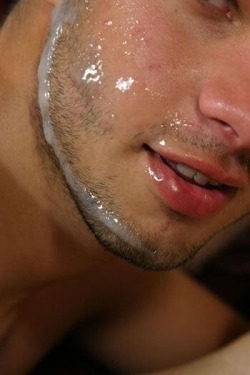 trientebosso:  hold still, let me lick that off you 