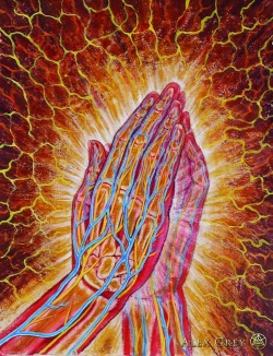 Alex Grey