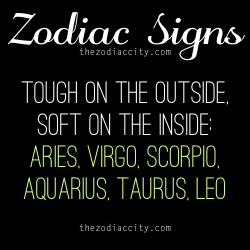 zodiaccity:  Zodiac Signs with a tough outer shell, but soft