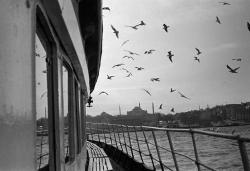 fotojournalismus:  Istanbul, 1999. [Credit : Nikos Economopoulos]