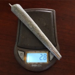 weedporndaily:  Good ol’ joint! by @hempxxx